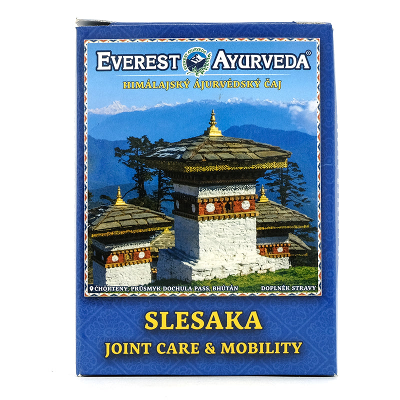 VÝPREDAJ Ajurvédsky čaj Slesaka 100g Everest Ayurveda